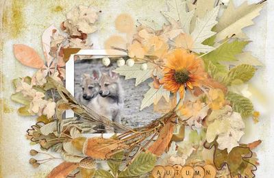 Autumn Glow