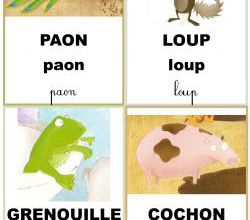 Imag'mots : Le loup qui voulait changer de couleur