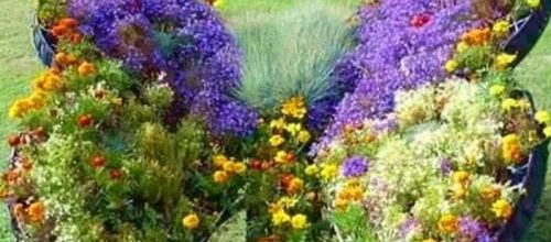 IMAGES 77