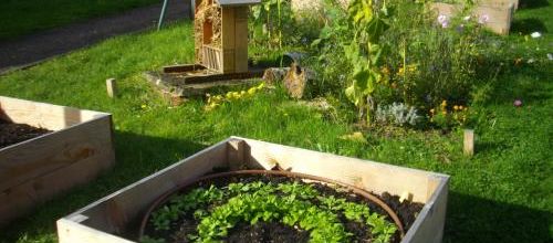 Carnet Vert : naissance d'un nouveau jardin !