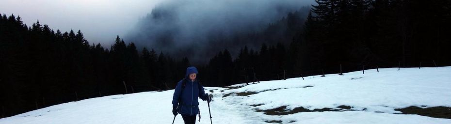 Fraîcheur grand nord dans les Bauges