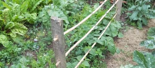 petit bricolage au jardin