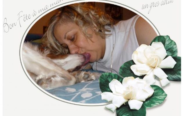 7 Novembre ==> Sainte Karine