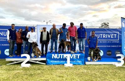 COUPE ET CHAMPIONNAT EN RING DE LA REUNION 2023 au F.C.T du TAMPON.