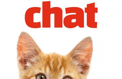 Tout sur votre chat - Dr Hélène Gateau