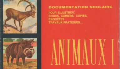 17 petits documentaires anciens à redécouvrir