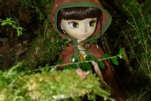 Eldana, elfe de la forêt