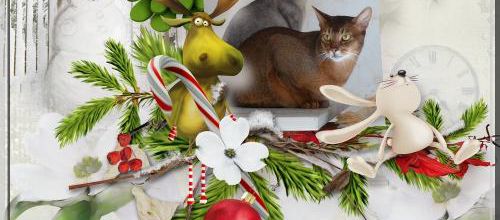 Bon Noël !!! 
