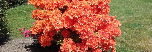 couleurs 