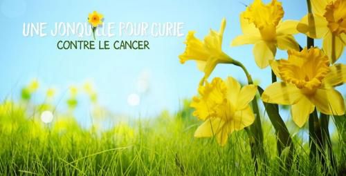 Le cancer de l'endomètre