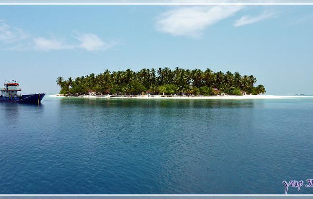 Retour à Thudufushi - Atoll d'Ari - Maldives