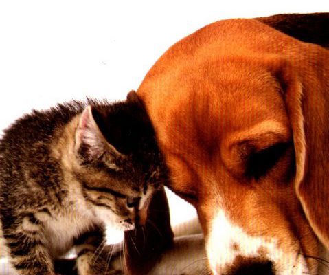 Citations en images : Rencontre