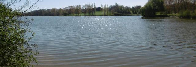 Une balade autour du Lac du HOUGA (32), le 29 mars (suite)...