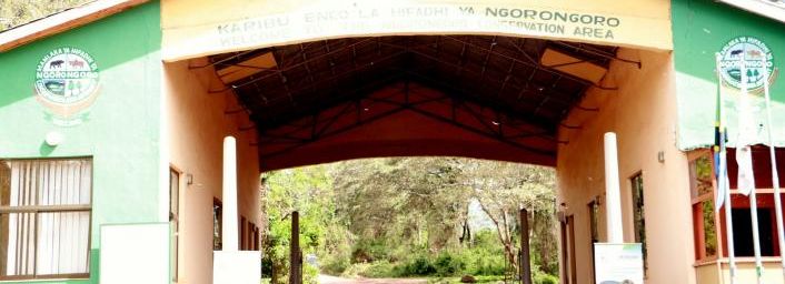 Zone de conservation de Ngorongoro