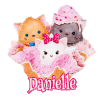 390 Glace aux 3 chatons