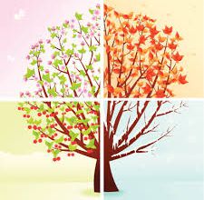 Les saisons de la vie