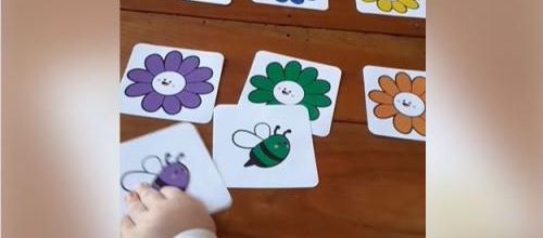 Associe l'abeille à sa fleur