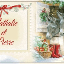 675 anes carte voeux