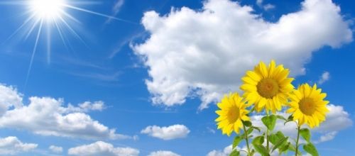 En attendant votre retour...de Vacances. - Bruno