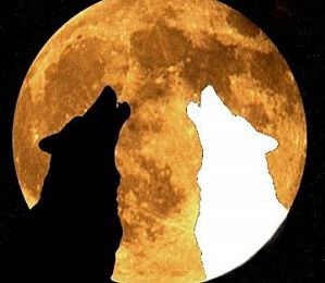 Les deux loups