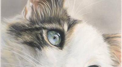 Tableau du samedi : Regard bleu