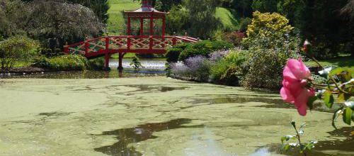 Apremont sur Allier - Le parc floral 2/2