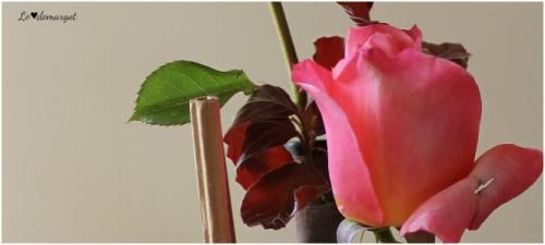 Art floral du mois