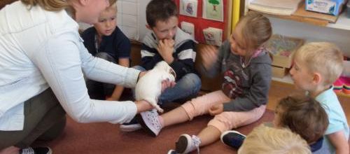 Un nouveau compagnon