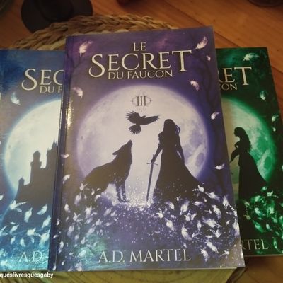 Le secret du faucon, tome 3 (AD Martel)