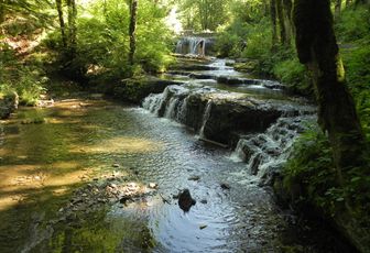 Le Hérisson dans le Jura