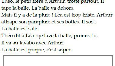Texte de lecture à illustrer - CP