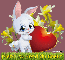 Prendre son "Elan" floral