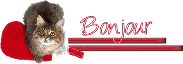 Hal "Vert d'eau" (Etape 7)