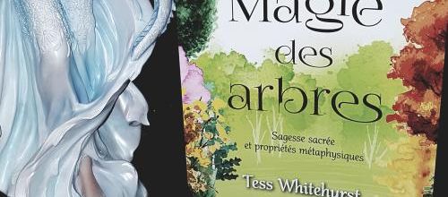 "La Magie des Arbres" de Tess Whitehurst chez Alliance Magique : une bible magique des arbres, magnifique ! 