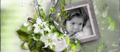 Freshness Of Green