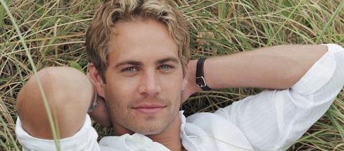 PAUL WALKER BOX OFFICE