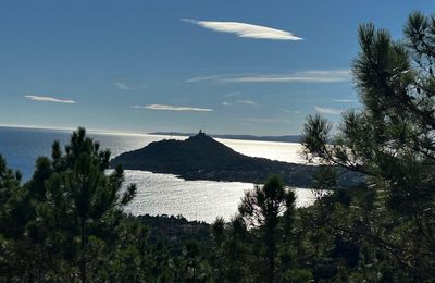 Le bulletin de novembre 2025