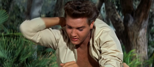 ELVIS PRESLEY - Follow That Dream  4K