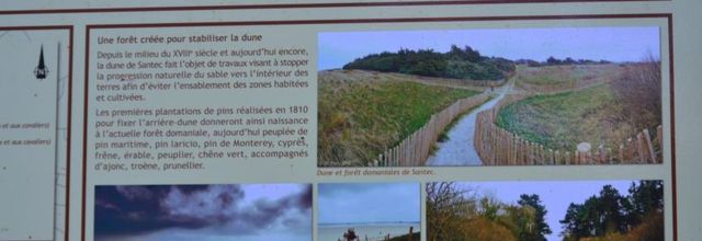 balade côtiére ( la promeneuse )