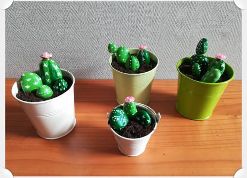 Tuto : De jolies plantes grasses en galets
