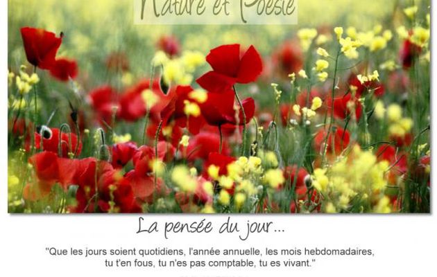 Tu es vivant .....