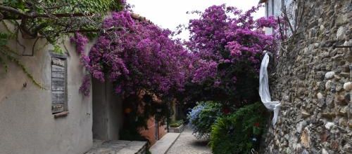 passage fleuri