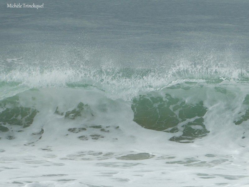 Une balade à CAPBRETON (40), le 11 novembre...