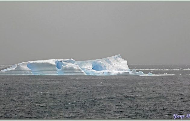 23/02/2022 - Toujours la navigation en direction de Siple Island dans une météo de plus en plus mauvaise, brume, forte neige par moments. Beau, mais ça manque quand même de débarquements !