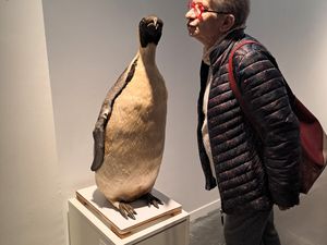 CR - MUSEE MER MARINE