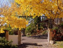Lumière d'Automne