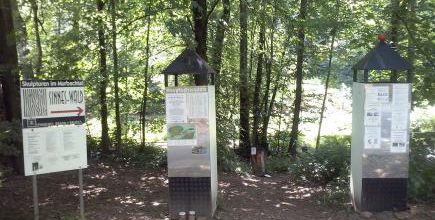 SinnesWald - Kunst und Kultur im Murbachtal