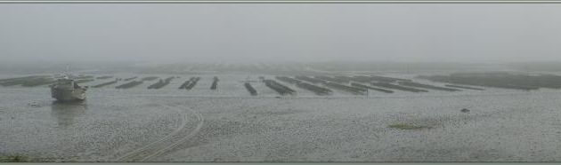 Parcs à huîtres dans la brume - Rivedoux-Plage - Ile de Ré