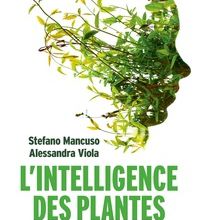 [download pdf] L Intelligence des plantes