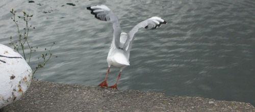 ... quand y faut, y faut...!